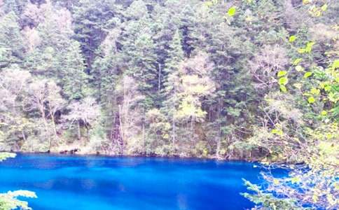 ��կ�����δʣ����㣩