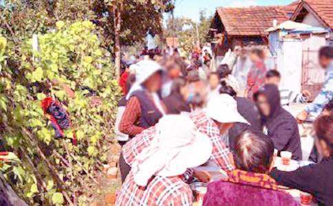 ɥ�¾�ϯ��л��