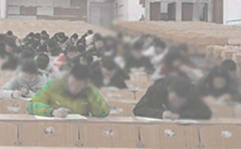 ���ſ����ݽ���