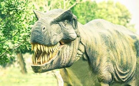 ����������Ŀ�������ѧ��˼