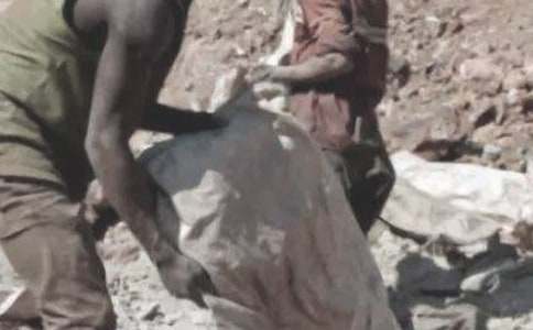 �ɿ����ܽ�15ƪ