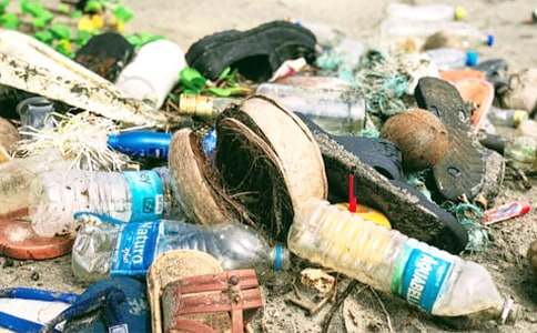 ��ɫ����������