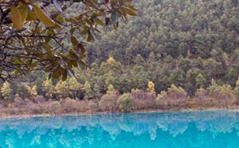 �����ĵ��δ�