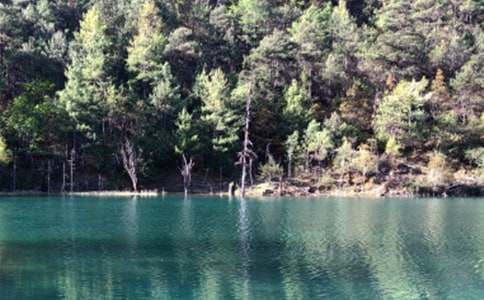 介绍丽江古城的导游词