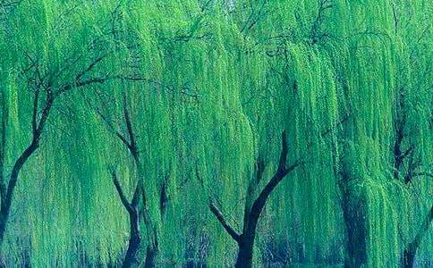 ���������ˡ���˵�θ�