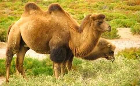 (��)���պ����ѧ���