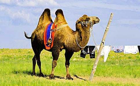 �������ա���ѧ���15ƪ