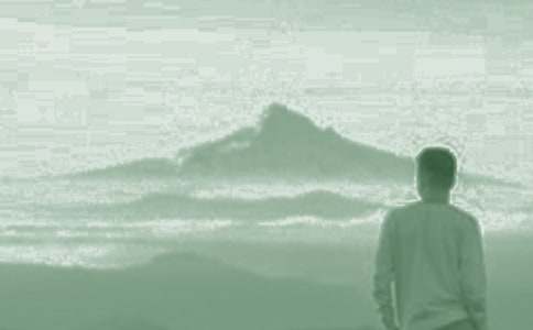 我们家的男子汉教学反思