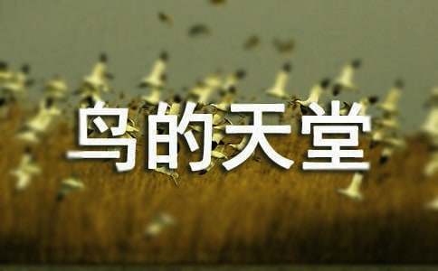 �й�������ý̰����ļ���6ƪ