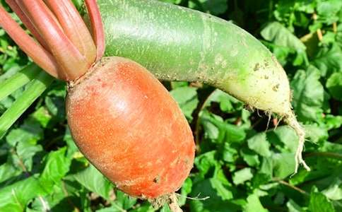 农家乐房屋租赁合同