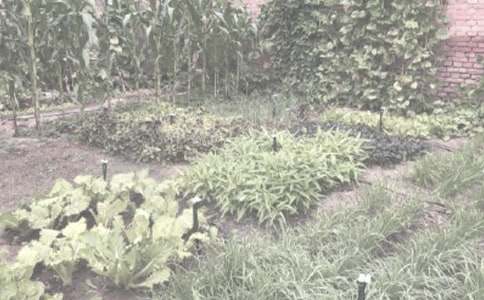 ũ��������������ͬ(���15ƪ)