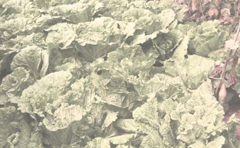 ũ��������������ͬ14ƪ