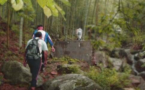 ����ɽ���Ľš��̰�