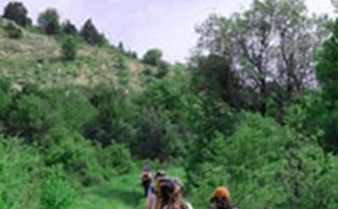 ��ѡ��ɽ�̰������ƪ