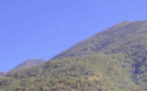 【通用】《爬山虎的脚》教学反思20篇