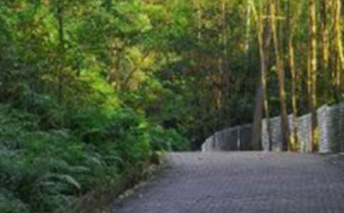 ��ɽ��ܽἯ��15ƪ