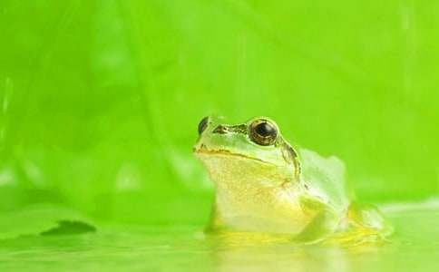 �����ܿ�����˵�θ�9ƪ