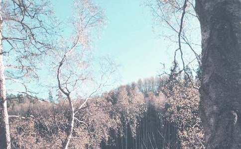 �＾�ۺ�ʵ�������