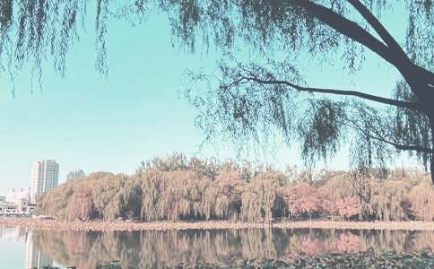 ����ѡ���＾�����ƻ�15ƪ