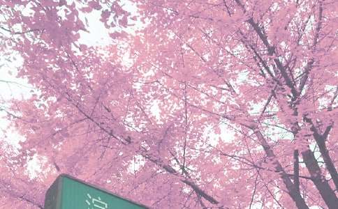 �＾ѧǰ�๤���ܽ�