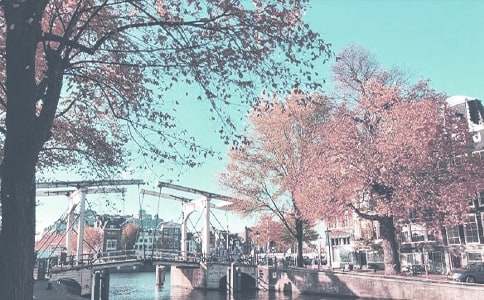 �＾���н�ѧ�����ܽ�