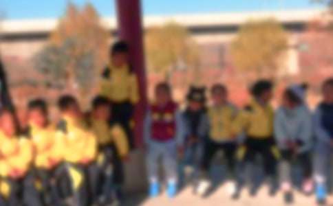 ����Сѧ����(15ƪ)