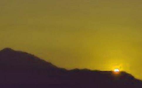 日出小学作文集锦15篇