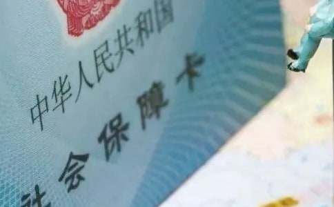 �����籣ί����(15ƪ)