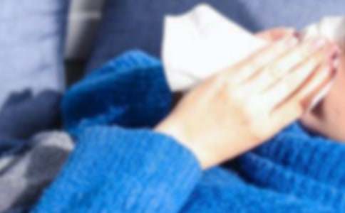 ������ο����