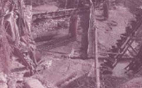 ʯ��Ա�����չ����ܽ�