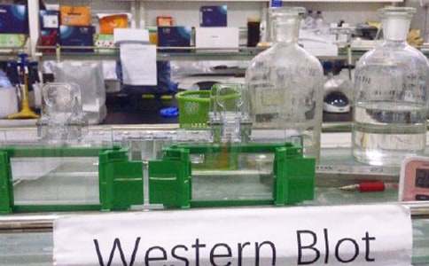 小学科学实验室工作总结【热门】