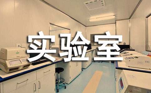 ѧУʵ���ҹ����ܽ�(13ƪ)