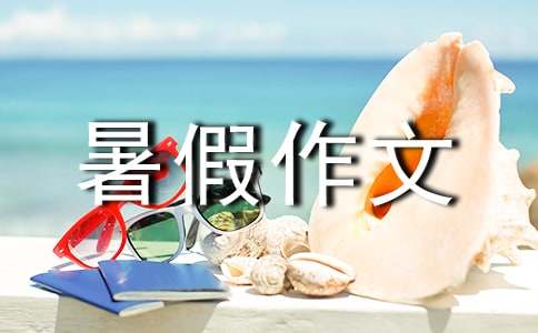 小学二年级暑假作文