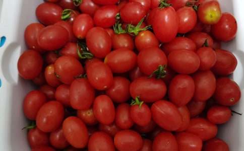 ˮ��Сѧ����