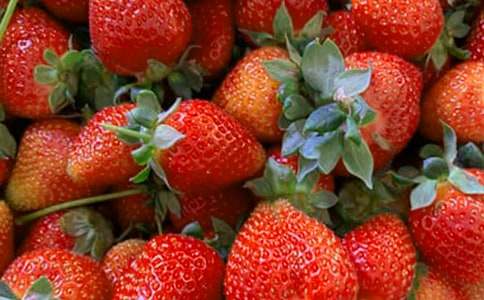 【优】水果买卖合同