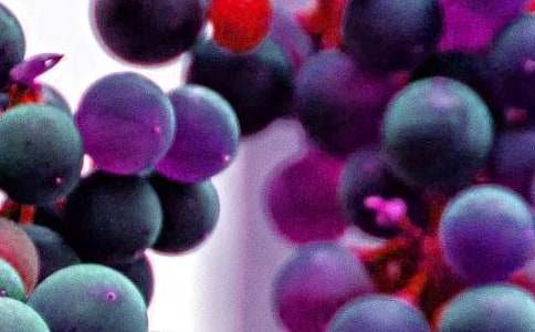 ˮ��������ͬ������