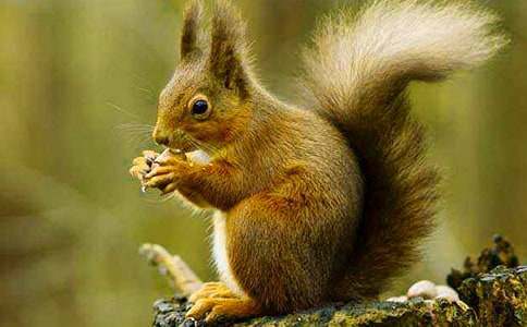 ���ġ����󡷽�ѧ���