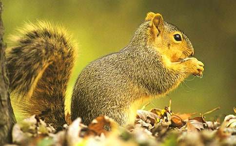 С�����һ�������ѧ��˼