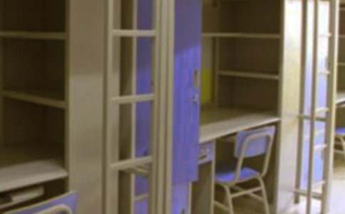 ѧ������������