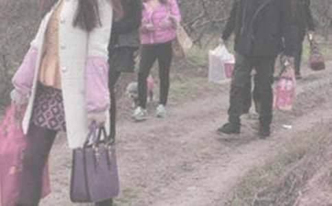 ̽�������