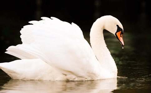 ���������ˮ��������м���15ƪ