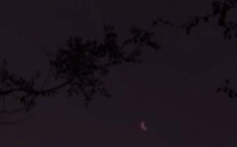 ���Ÿ����������ԣ�ͨ��95�䣩