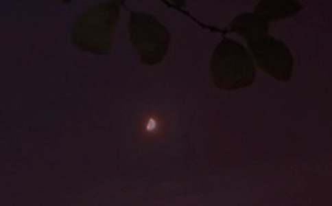 2025��ʵ�õ�Ψ������������Ȧ�ʺ��Ｏ��56��