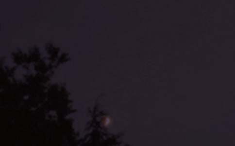 ����ů�����������ȫ����ѡ175�䣩