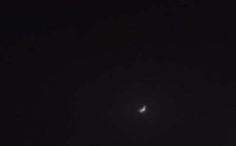 �����������ʺ������100��