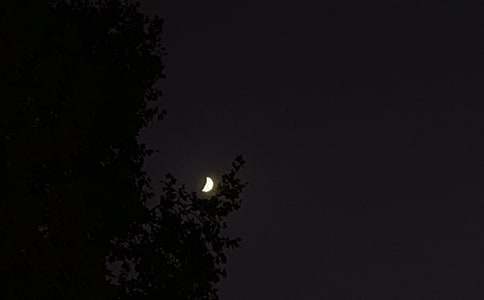 2026���̵���ܰ������QQ�ʺ���ϼ�77��