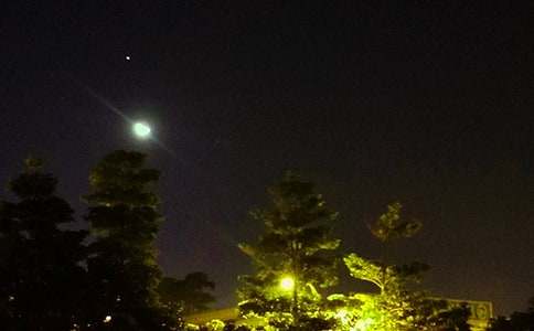 2026�������ܰ�������ʺ������34��