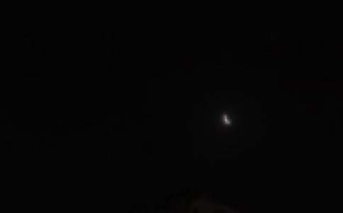 2026�꾭����������Ȧ�ʺ���29��