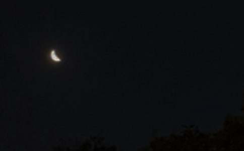 2025���̵������������ʺ�����Ŵ󼯺�68��