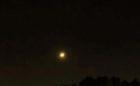 2024�꾭��Ψ������������Ȧ�ʺ���20��